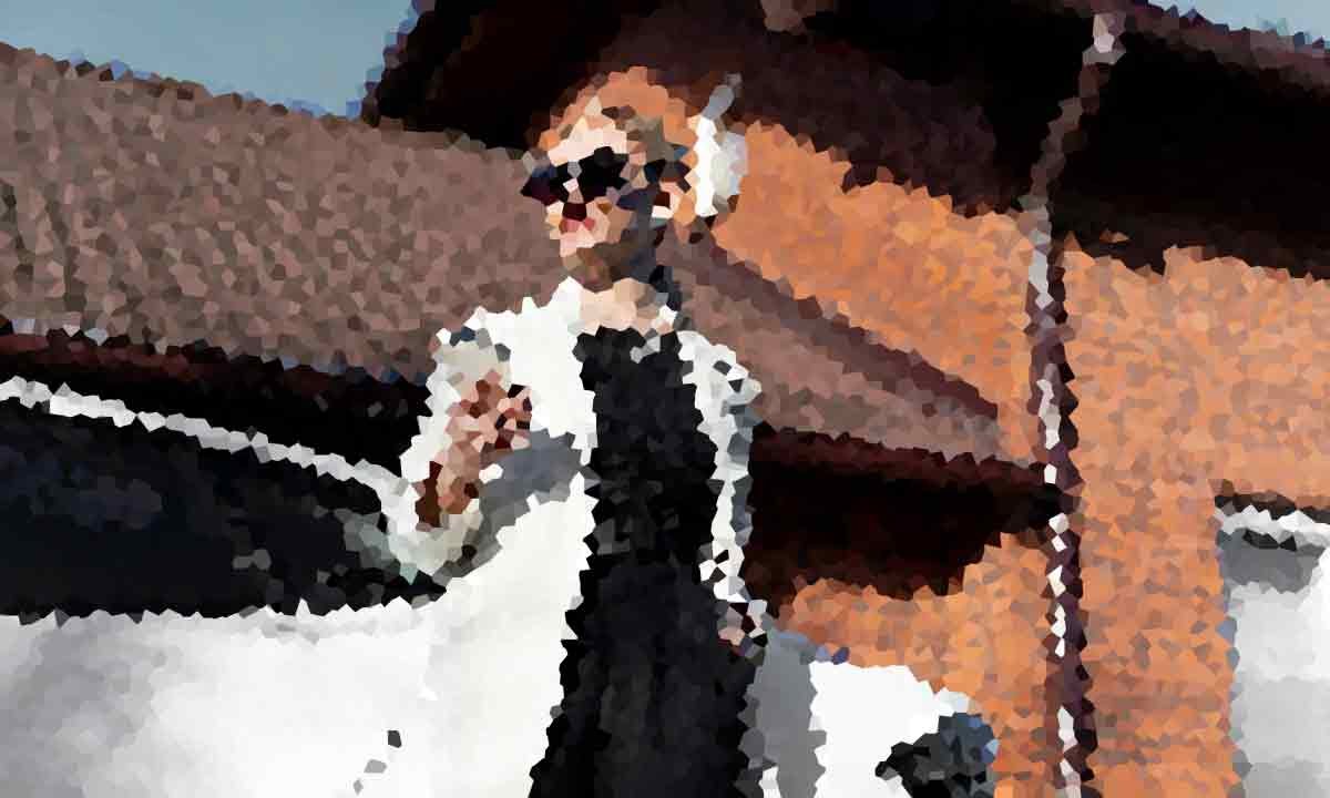 bz120 Levi Kingston Reveals Massive Income From Live Streams